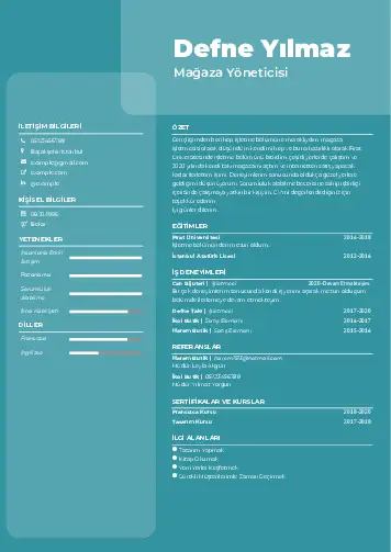 Yönetici CV Örnekleri cv indir